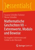 Mathematische Geschichten VII – Extremwerte, Modulo und Beweise (eBook, PDF)