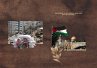 Palestine: A Historical Analysis of the... - Bild 1