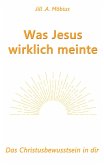 Was Jesus wirklich meinte (eBook, ePUB)