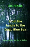 From the Jungle to the Deep Blue Sea (eBook, ePUB)