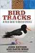 Bird Tracks (eBook, ePUB) - Bild 1