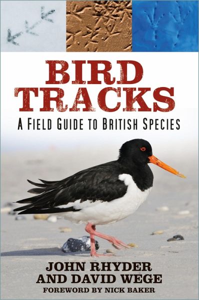 Bird Tracks (eBook, ePUB)