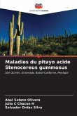 Maladies du pitayo acide Stenocereus gummosus