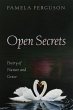 Open Secrets (eBook, ePUB) - Bild 1