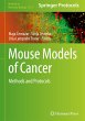 Mouse Models of Cancer - Bild 1