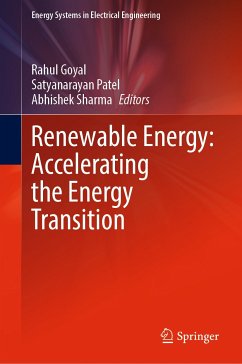 Renewable Energy: Accelerating the Energy Transition (eBook, PDF)