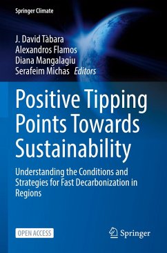 Cover Positive Tipping Points Towards Sustainability