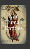 NON HUMAN ENTITIES