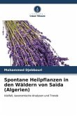 Spontane Heilpflanzen in den Wäldern von Saïda (Algerien)