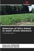 Detection of QTLs linked to water stress tolerance