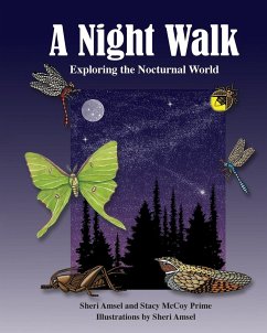 A Night Walk - Amsel, Sheri; McCoy, Stacy