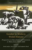 Gender in Modern Welsh History (eBook, ePUB)