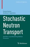 Stochastic Neutron Transport (eBook, PDF)