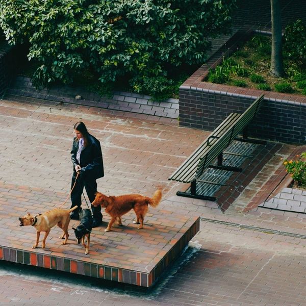 Way Back Home (Lp) Way Back Home (Lp)