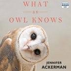 What an Owl Knows (MP3-Download)