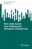 Non-state Actors Law-making and Domestic Criminal Law (eBook, PDF)