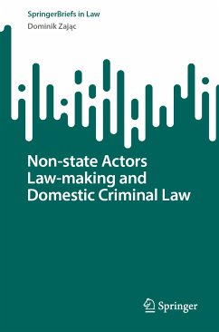 Non-state Actors Law-making and Domestic Criminal Law (eBook, PDF) - Zając, Dominik