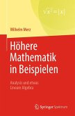 Höhere Mathematik in Beispielen (eBook, PDF)