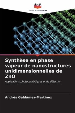 Synthèse en phase vapeur de nanostructures unidimensionnelles de ZnO - Galdámez-Martínez, Andrés