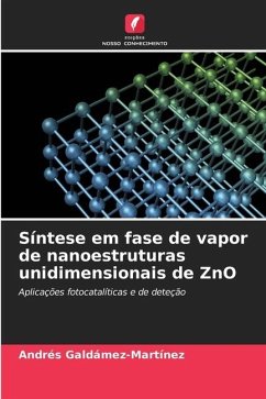 Síntese em fase de vapor de nanoestruturas unidimensionais de ZnO - Galdámez-Martínez, Andrés