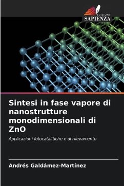 Sintesi in fase vapore di nanostrutture monodimensionali di ZnO - Galdámez-Martínez, Andrés