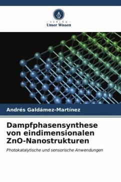 Dampfphasensynthese von eindimensionalen ZnO-Nanostrukturen - Galdámez-Martínez, Andrés