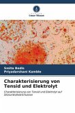 Charakterisierung von Tensid und Elektrolyt