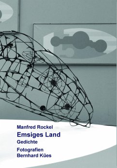 Cover Emsiges Land