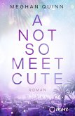 A Not So Meet Cute / Cane Brothers Bd.1