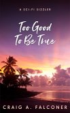 Too Good To Be True (Sci-Fi Sizzlers, #10) (eBook, ePUB)
