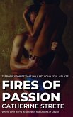 Fires of Passion (eBook, ePUB)