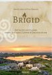 Brigid (eBook, ePUB) - Bild 1
