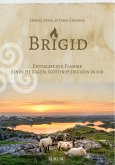 Brigid (eBook, ePUB)