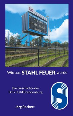 Wie aus STAHL FEUER wurde (eBook, ePUB)