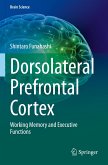 Dorsolateral Prefrontal Cortex