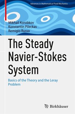 The Steady Navier-Stokes System - Korobkov, Mikhail;Pileckas, Konstantin;Russo, Remigio