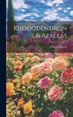 Rhododendrons & Azaleas