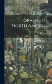 Grasses of North America