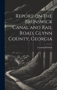 Report on the Brunswick Canal and Rail Road, Glynn County, Georgia - Baldwin, Loammi