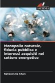 Monopolio naturale, fiducia pubblica e interessi acquisiti nel settore energetico