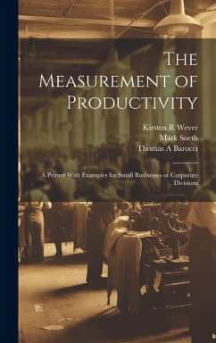 The Measurement of Productivity - Barocci, Thomas a; Soeth, Mark; Wever, Kirsten R