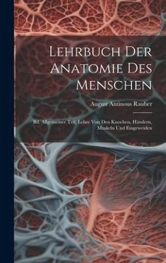 Lehrbuch Der Anatomie Des Menschen - Rauber, August Antinous