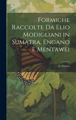 Cover Formiche Raccolte da Elio Modigliani in Sumatra, Engano e Mentawei