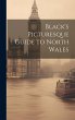Black's Picturesque Guide to North Wales - Bild 1