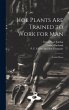 Hoe Plants are Trained to Work for Man;... - Bild 1