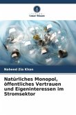 Natürliches Monopol, öffentliches Vertrauen und Eigeninteressen im Stromsektor