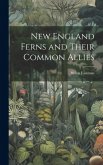 New England Ferns and Their Common Allies