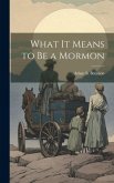 What it Means to be a Mormon