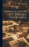Views of Greene, N. Y. Indelible Photographs