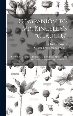 Companion to Mr. Kingsley's 